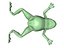 grenouille