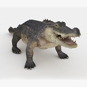 3D Crocodile Rigged and Animated model