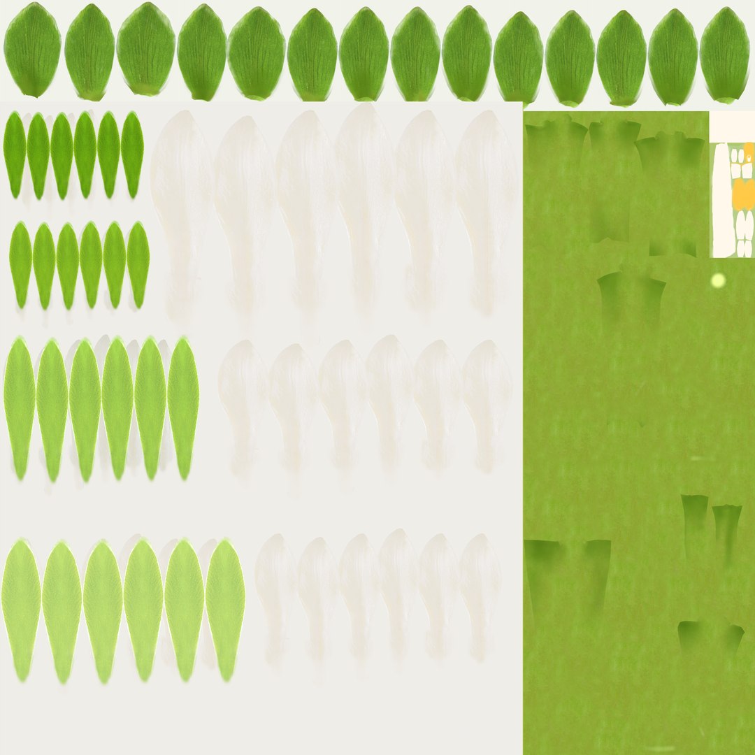 Freesia white flowers decor advertising 3D model https://p.turbosquid.com/ts-thumb/Nx/BhIKeg/DF/freesia_white_flowers_diff/png/1768810464/1920x1080/fit_q87/d569e1bc6c1b697c87ca5aeed97b6a9aabb7eee4/freesia_white_flowers_diff.jpg