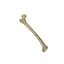 Human Femur Scan with LODs