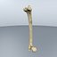 Human Femur Scan with LODs