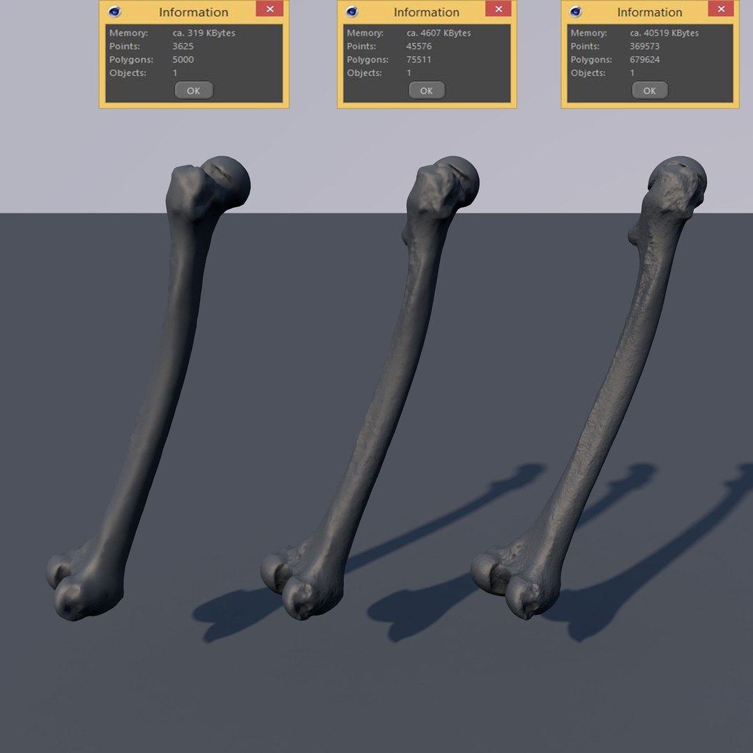 scan femur real 3d model https://p.turbosquid.com/ts-thumb/Nx/CTsbnj/XoP1l5Zg/1/jpg/1473877646/1920x1080/fit_q87/55c0a6e0e300cb08f9726f8269f66ce1a167d52d/1.jpg