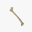 Human Femur Scan with LODs