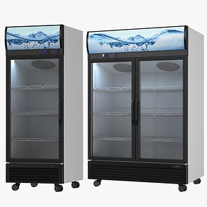 Two Detailed Refrigerator Display