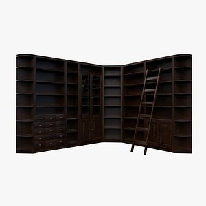 3D Bookshelves with Ladder modular model