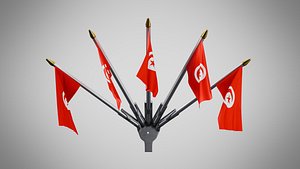 3D Wall Mount Flags 5 Of Tunisia