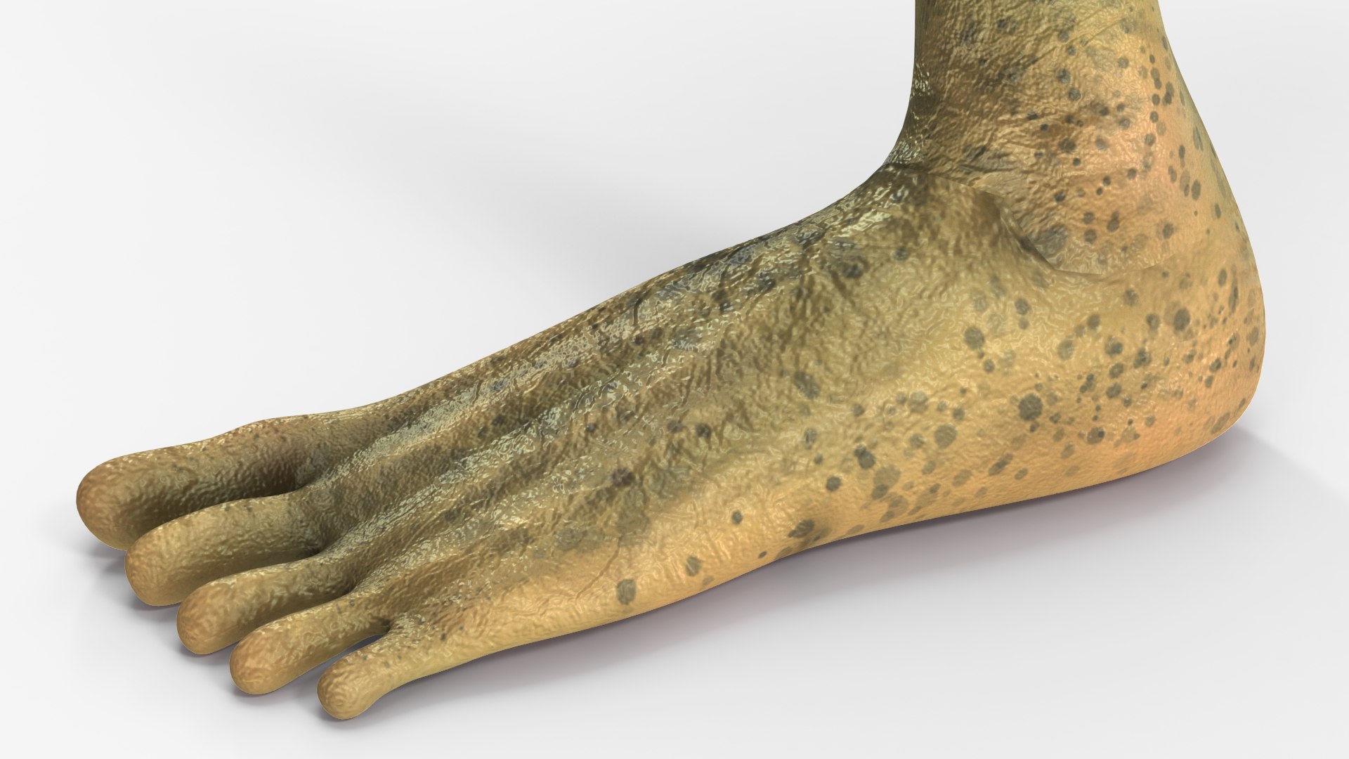 Running Humanoid Alien 3D model https://p.turbosquid.com/ts-thumb/Nx/VS8O1Q/N7/runninghumanoidalienvray3dmodel012/jpg/1647884866/1920x1080/fit_q87/7f90c6ef0abe8dd01e394e4b6c6c1ddda9decefe/runninghumanoidalienvray3dmodel012.jpg