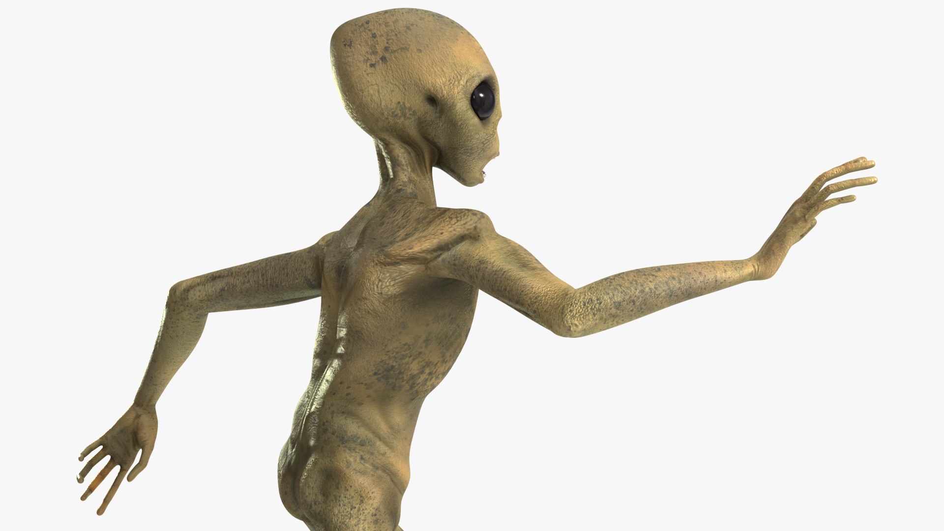 Running Humanoid Alien 3D model https://p.turbosquid.com/ts-thumb/Nx/VS8O1Q/YY/runninghumanoidalienvray3dmodel008/jpg/1647884853/1920x1080/fit_q87/48a48b91fd4558c97c83f112a93eb2ec3b48307f/runninghumanoidalienvray3dmodel008.jpg