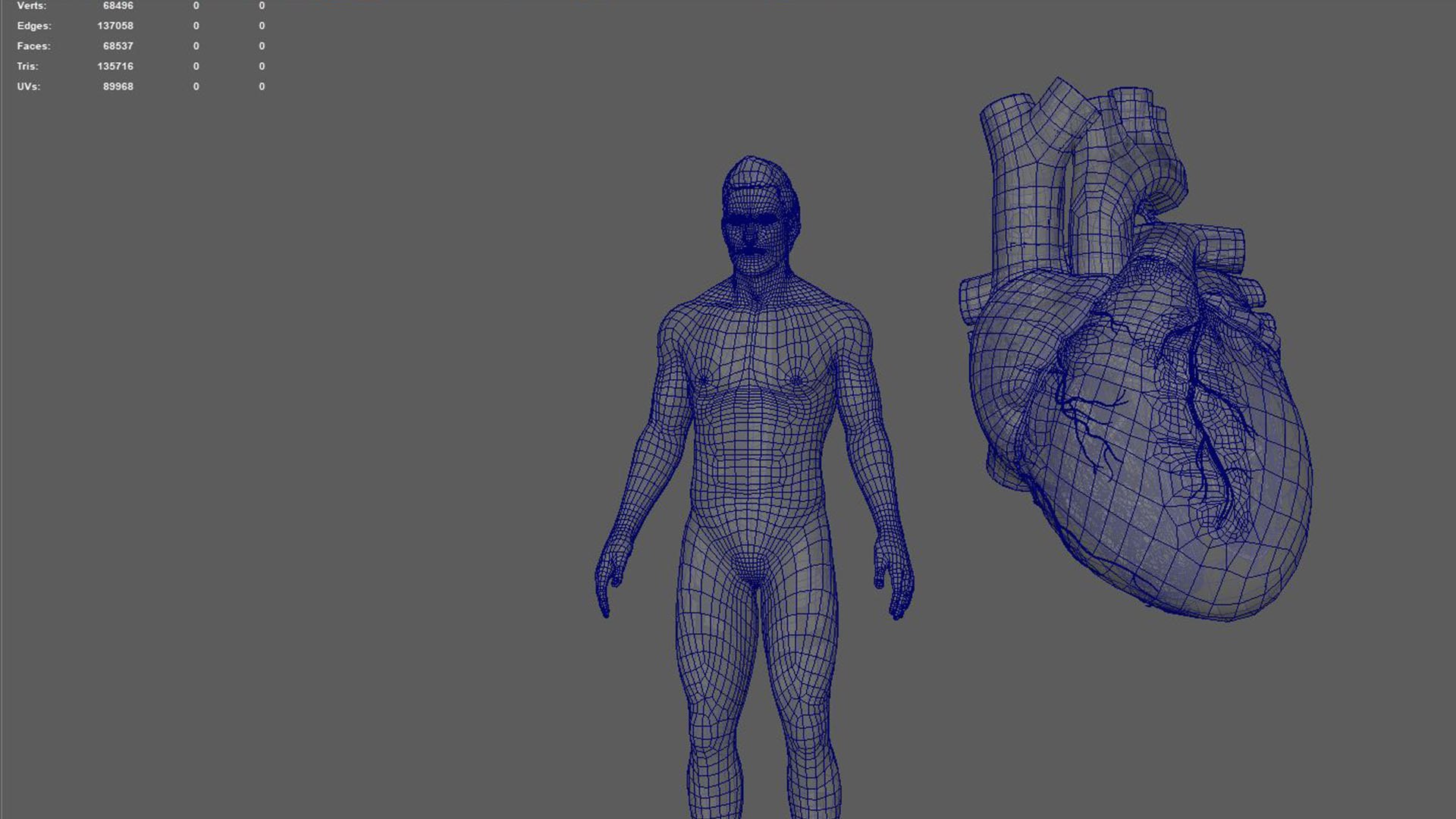3D Human Natural body with Heart https://p.turbosquid.com/ts-thumb/Nx/Z6SJzt/m6/2/jpg/1651224803/1920x1080/fit_q87/345c00cca8ef3ac389b347db767921ca6bd2f615/2.jpg
