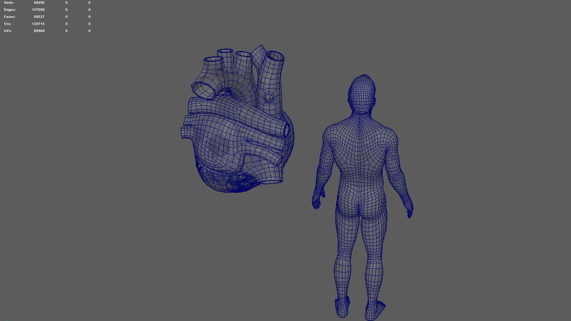 3D Human Natural body with Heart https://p.turbosquid.com/ts-thumb/Nx/Z6SJzt/vz/3/jpg/1651224803/1920x1080/fit_q87/3e90a514ab029827fddc6922aeb37657c7d269df/3.jpg