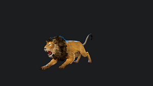 3D Realistic Lion Animated