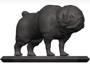 Bulldog Stl 3D model