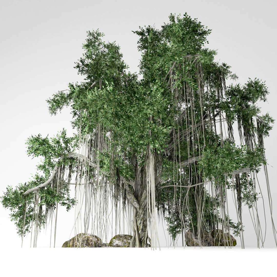 3d Banyan Tree - Turbosquid 1471166