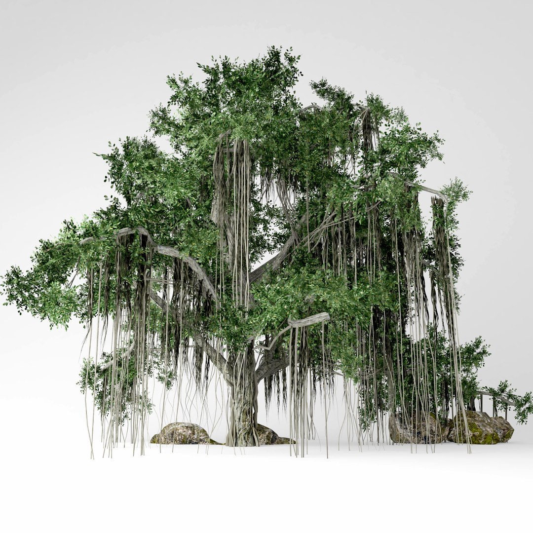 3D Banyan Tree - TurboSquid 1471166