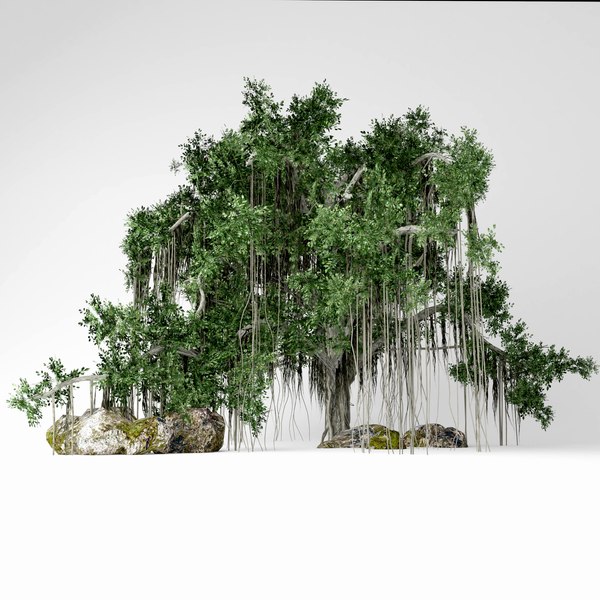 3D banyan tree TurboSquid 1471166