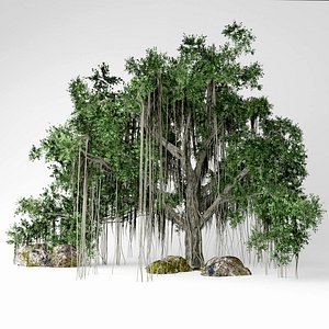3D banyan tree
