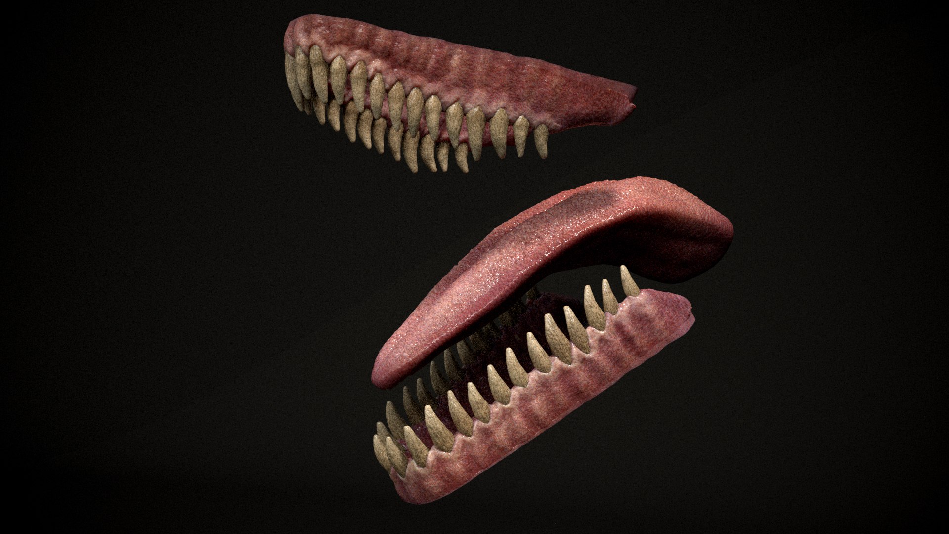 Carnotaurus Theropod Dinosaur 3D https://p.turbosquid.com/ts-thumb/Ny/cGka4f/LF/shot12copy/jpg/1736793704/1920x1080/fit_q87/5ae16313d01ee4745e1aec38b94909a940eadc59/shot12copy.jpg
