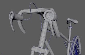 bicycle transportation model