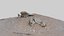 Formación rocosa del desierto de Namibia 09 - Escaneo