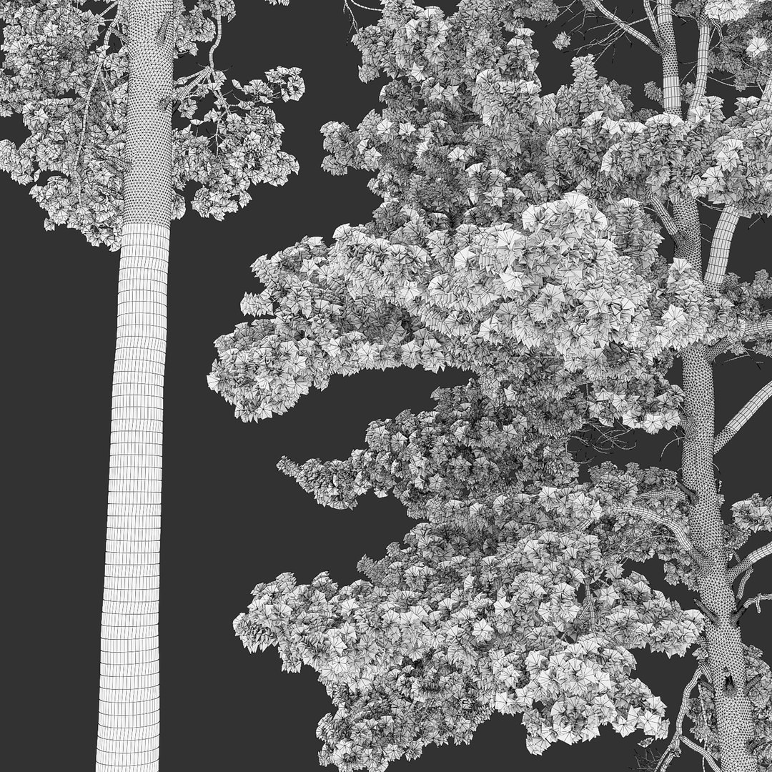 Pine Tree Model - TurboSquid 1696706