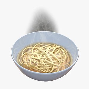 Bowl of Soup Noodles