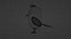 3D bird