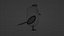 3D bird