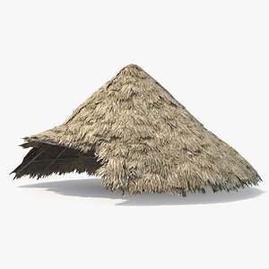 Tropical Palm Thatched Roof for Beach Hut