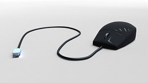 Computer Mouse