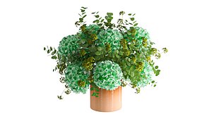 Green Hydrangea