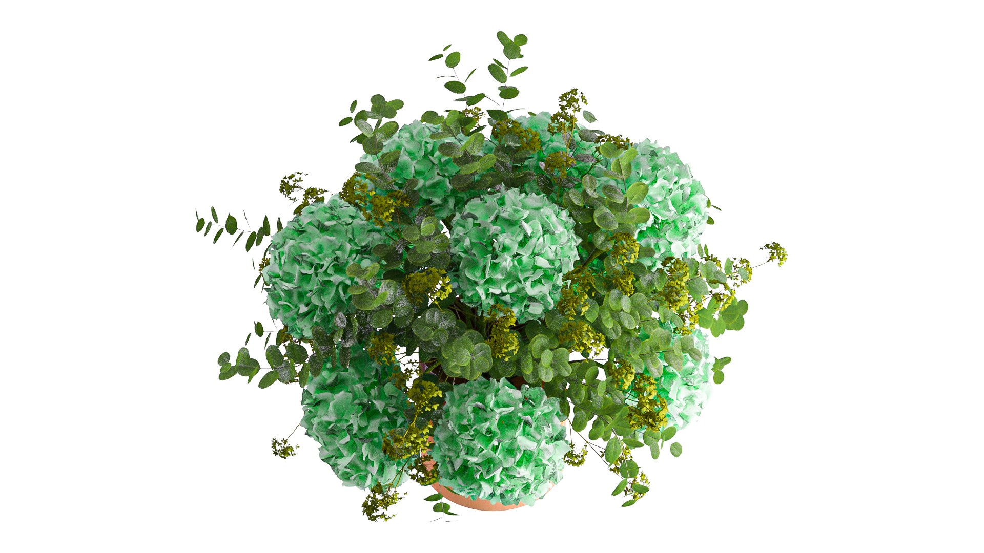 3D Green Hydrangea model - TurboSquid 2087127