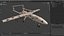 Camuflagem do Drone Iraniano Mohajer-6 com Câmera
