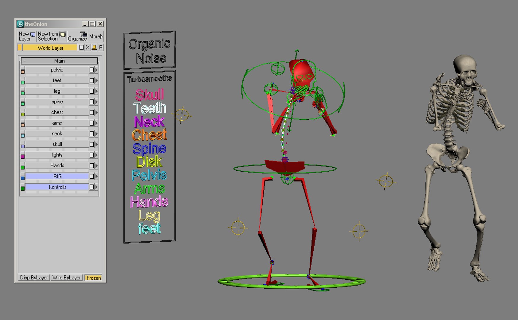 3d Model Anatomy Skeleton Biology Diagrams