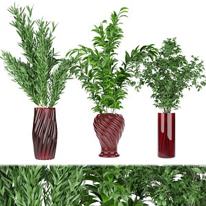 3D Collection plant vol 65 model
