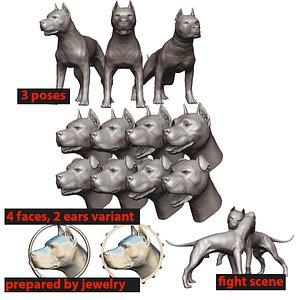 ピットブル3Dモデルダウンロード用。TurboSquid
