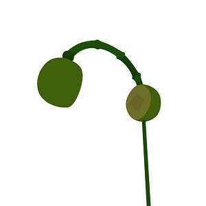 3D model cartoon tropical headset