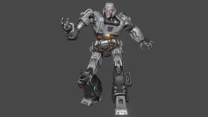 3D Megatron model