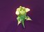 Animated Cartoon Baby Dragon 3d Model Green