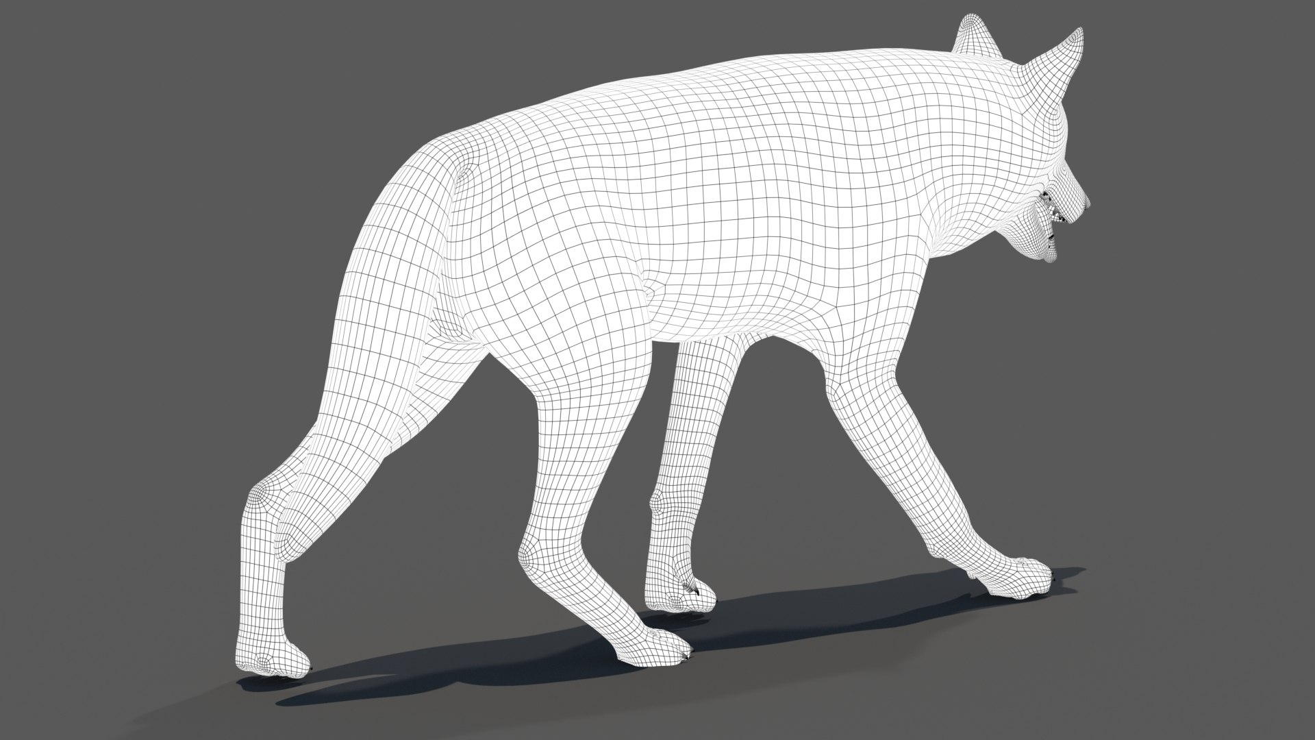 Animated Furry Red Wolf 3D Model - TurboSquid 2111215