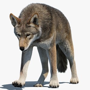 Animated Red Wolf Fur