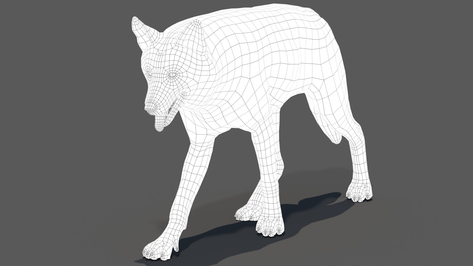 Animated Furry Red Wolf 3D Model - TurboSquid 2111215