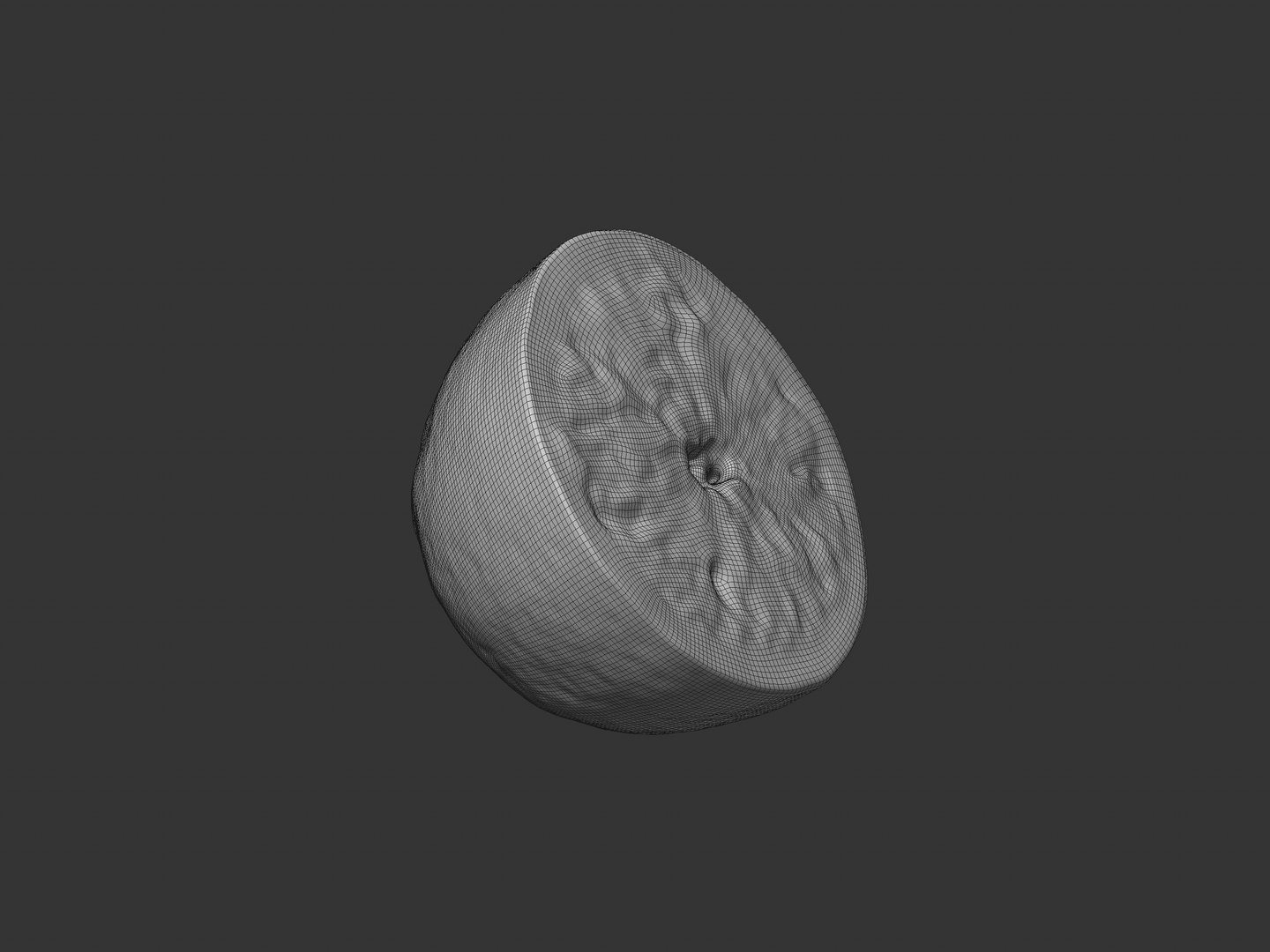 3D Half Cut Lemon model https://p.turbosquid.com/ts-thumb/O0/lqMu9c/QW/preview_lemon_half_wireframe_04/jpg/1749192149/1920x1080/fit_q87/e790da2de278edad4269a905fc9784d398715092/preview_lemon_half_wireframe_04.jpg