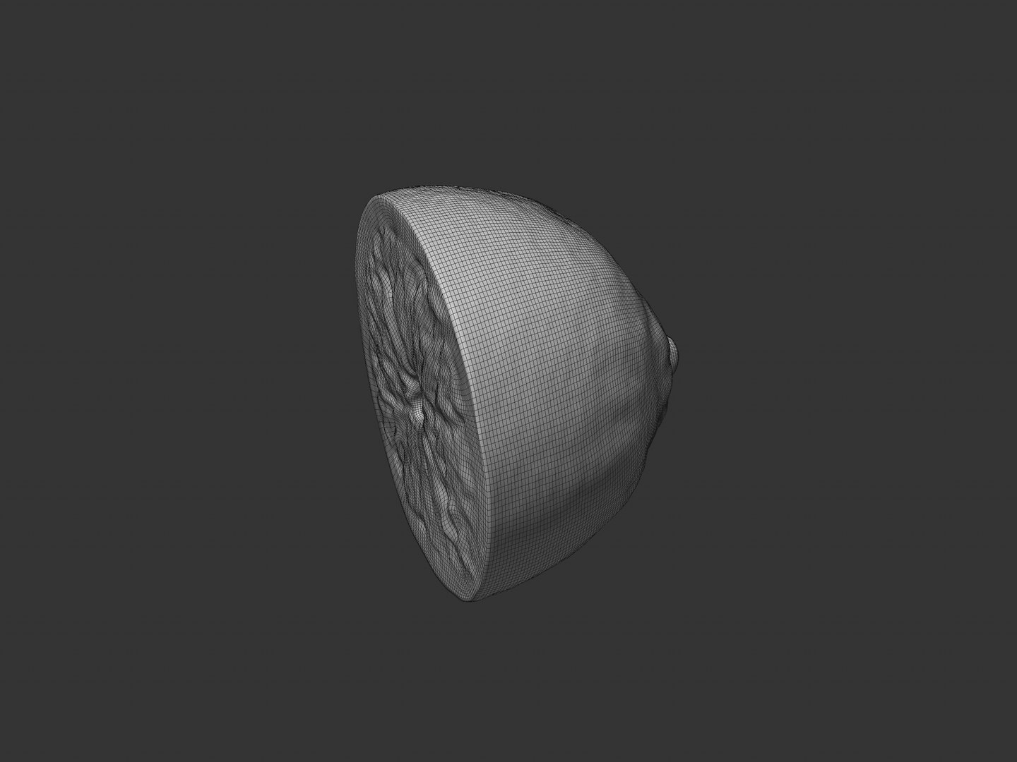 3D Half Cut Lemon model https://p.turbosquid.com/ts-thumb/O0/lqMu9c/yY/preview_lemon_half_wireframe_03/jpg/1749192148/1920x1080/fit_q87/14f61b5ab4e24a70c9c73c5b0e0e6b3703c3976e/preview_lemon_half_wireframe_03.jpg