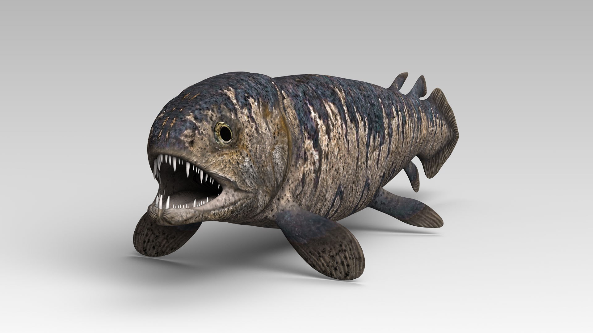 3D Rhizodus Model - TurboSquid 1346107