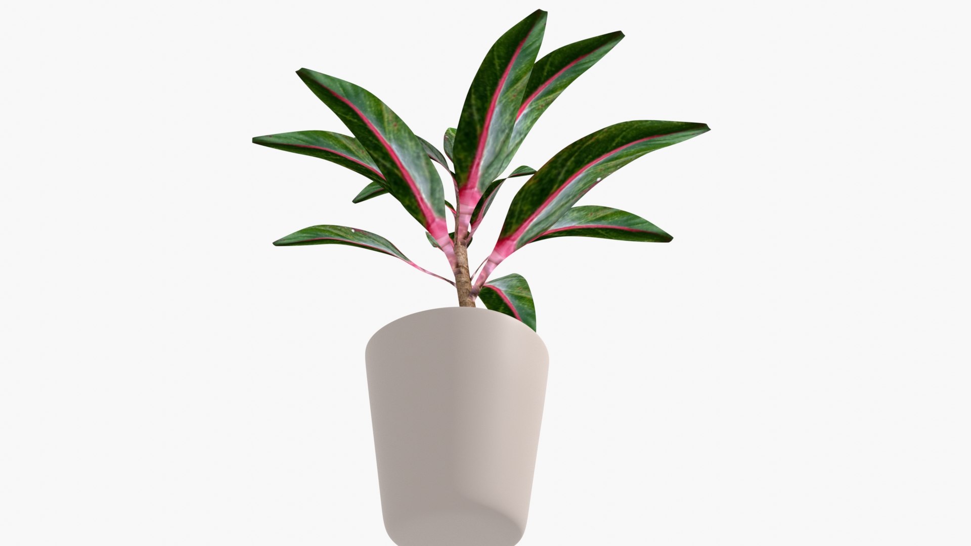 IndoorPlant4 3D model https://p.turbosquid.com/ts-thumb/O1/3gjFm2/1B/img3/jpg/1645278280/1920x1080/fit_q87/3dd86b00f4a25ab91ae0df3a3bdd624c5f5729ea/img3.jpg
