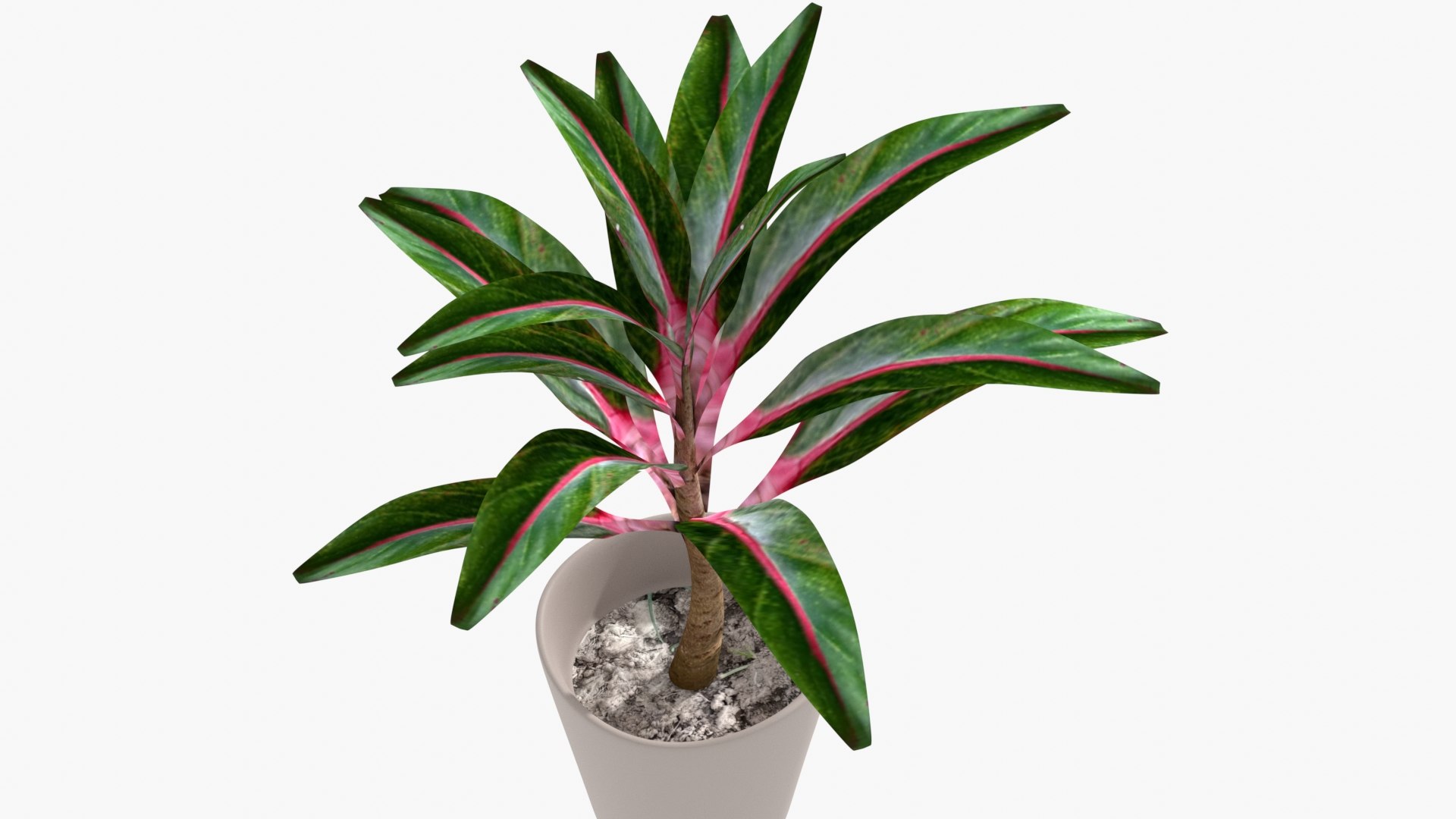 IndoorPlant4 3D model https://p.turbosquid.com/ts-thumb/O1/3gjFm2/C8/img4/jpg/1645278312/1920x1080/fit_q87/b3e3f2d5dcc52427a3860b222609c4c954d77e40/img4.jpg