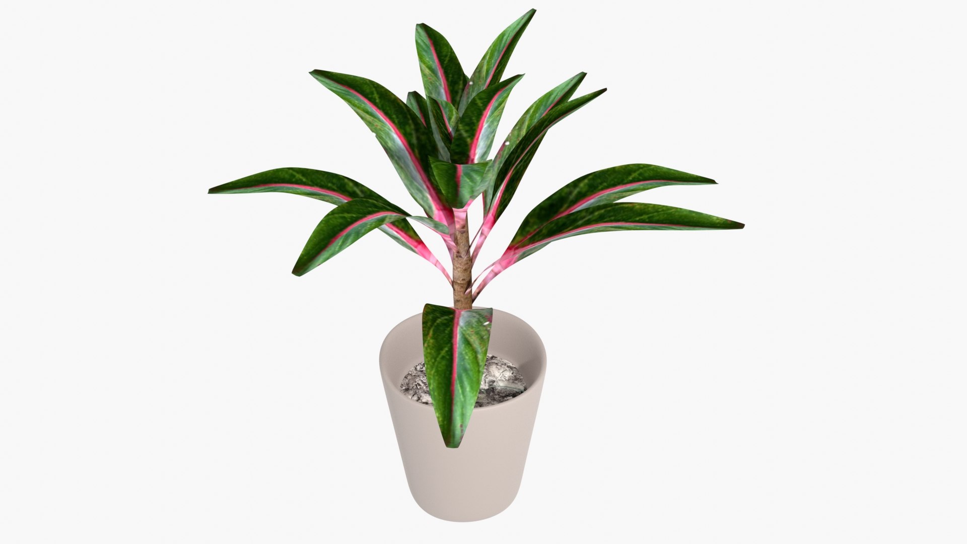 IndoorPlant4 3D model https://p.turbosquid.com/ts-thumb/O1/3gjFm2/ET/img2/jpg/1645278295/1920x1080/fit_q87/49b29317e8c1e29d9fc061b0ee83b86466efbfe9/img2.jpg