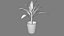 Indoor Plant 4
