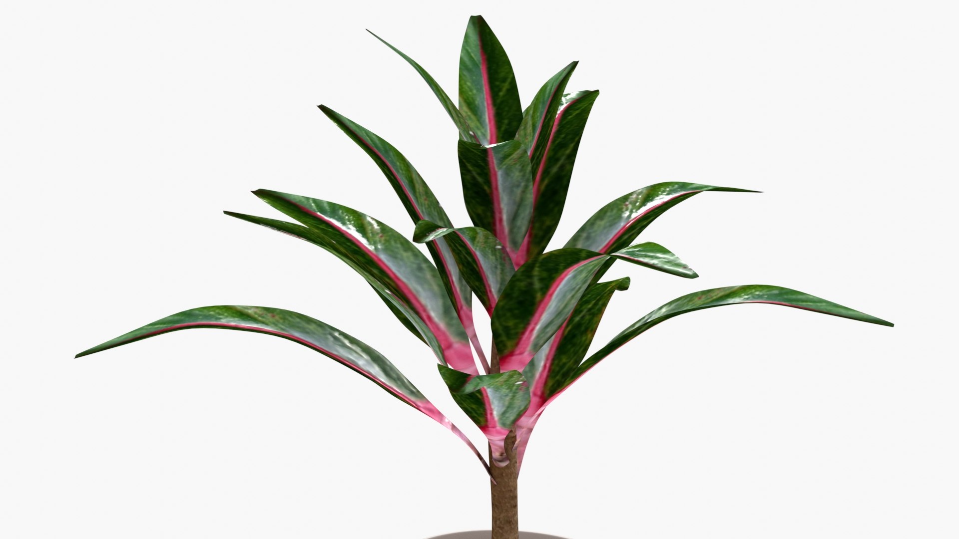 IndoorPlant4 3D model https://p.turbosquid.com/ts-thumb/O1/3gjFm2/zf/img5/jpg/1645278316/1920x1080/fit_q87/5564a96407be8d9ffb0acb9ddf86e76a4d89fcde/img5.jpg