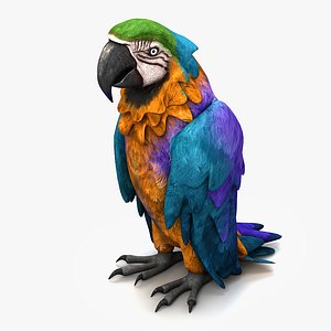Parrot 1